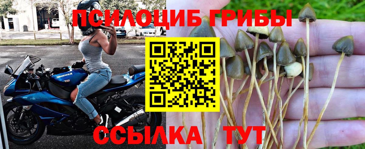 наркота  Вход с VPN  Печора  Псилоцибиновые грибы Magic Shrooms  Галлюциногенные грибы Cubensis 